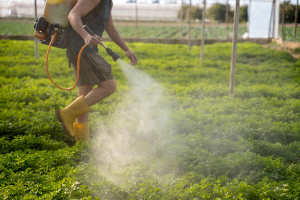 Reliable Hartville, OH Pest Control Solutions