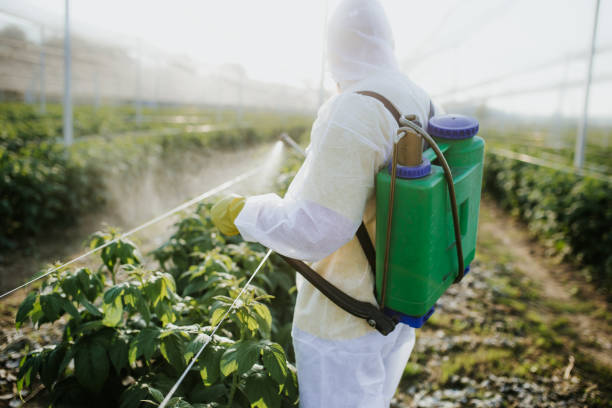 Best Residential Pest Control  in Hartville, OH